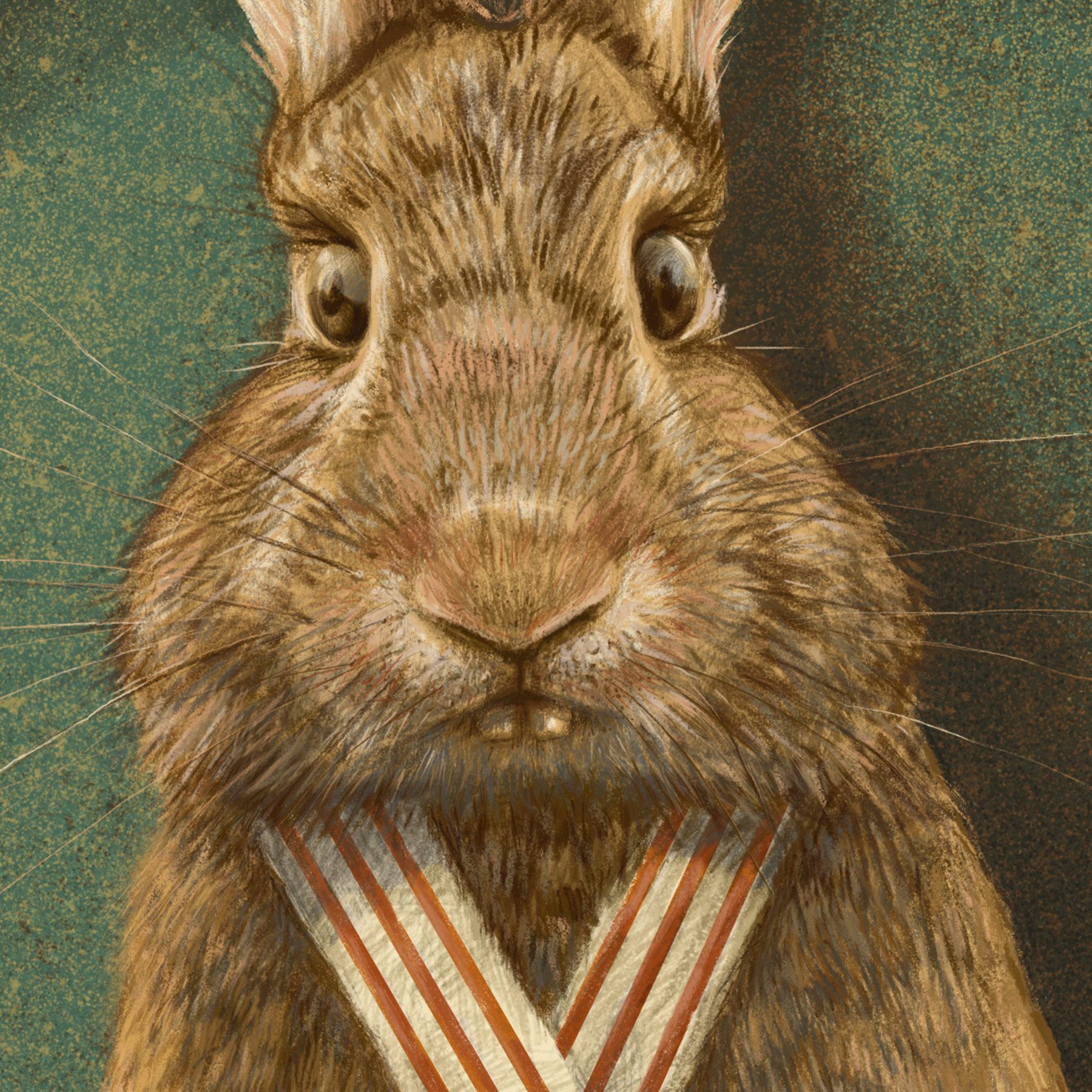 Champion rabbit, illustration, detail