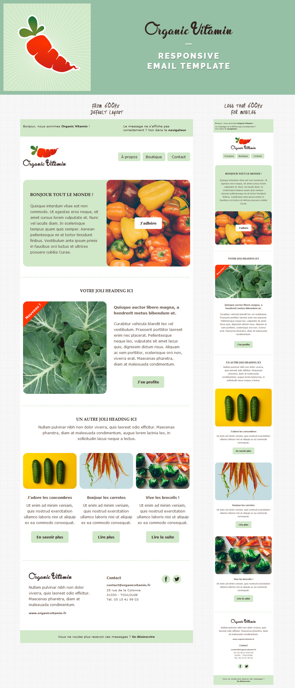 Organic Vitamin, responsive newsletter