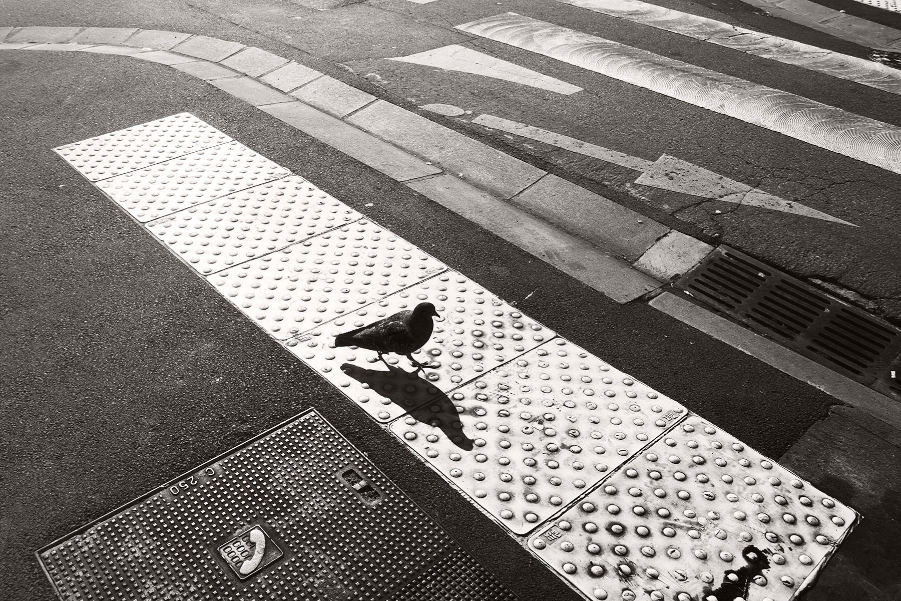 Toulouse en noir et blanc