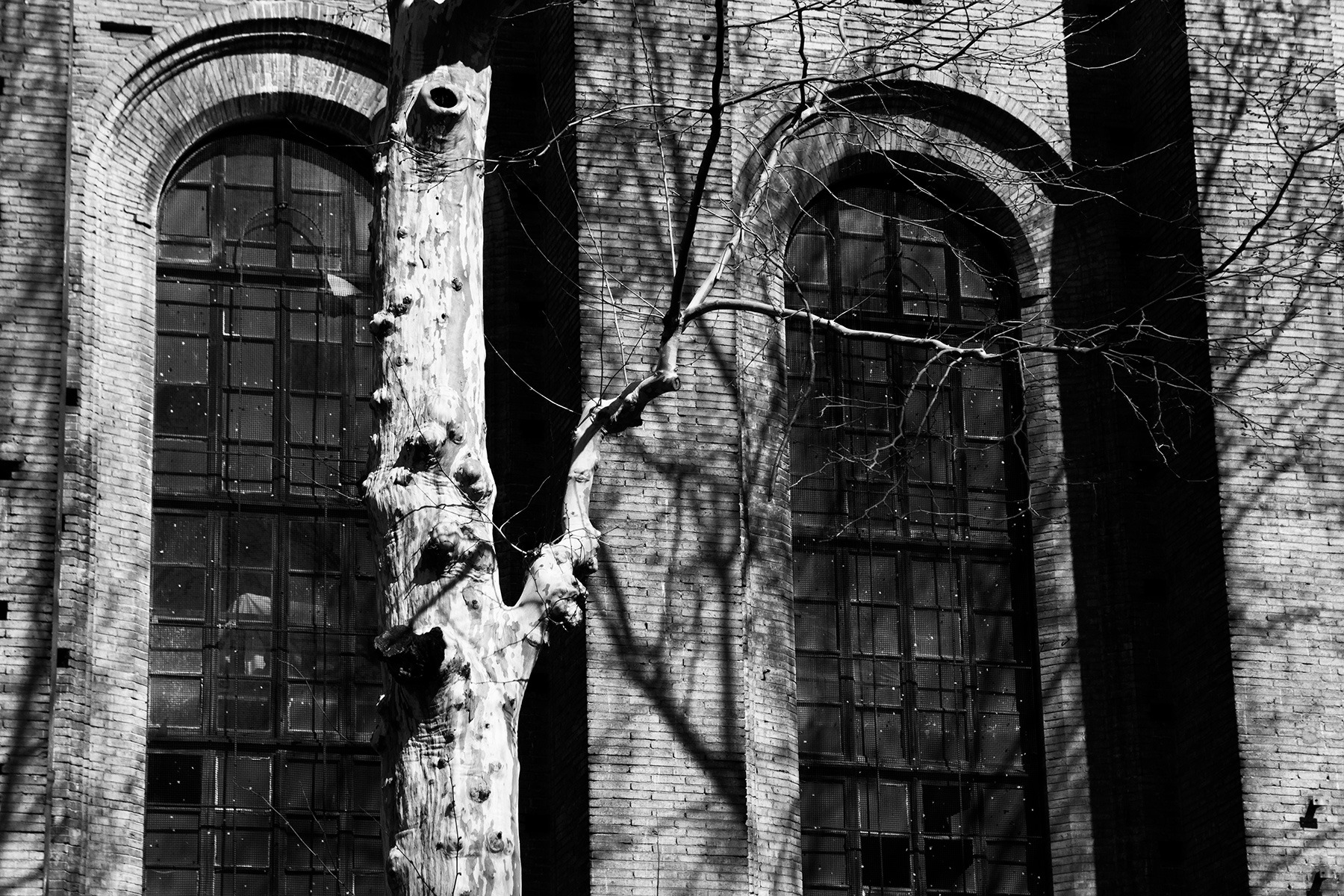 Toulouse en noir et blanc