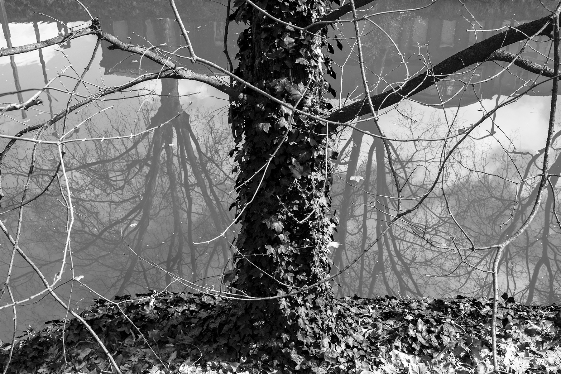 Toulouse en noir et blanc